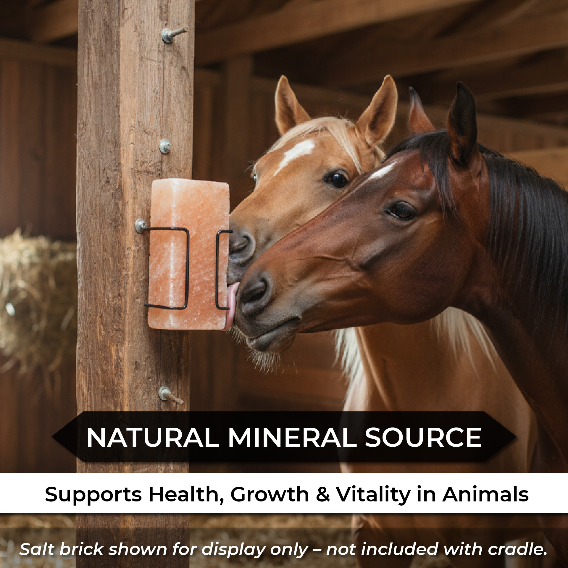 Pacific Pelican Himalayan Animal Lick Salt Brick Holder, for Deer, Horse and Livestock - Easy to Install – Ideal for Cattle, Horses, Goats, and Sheep - Image 4