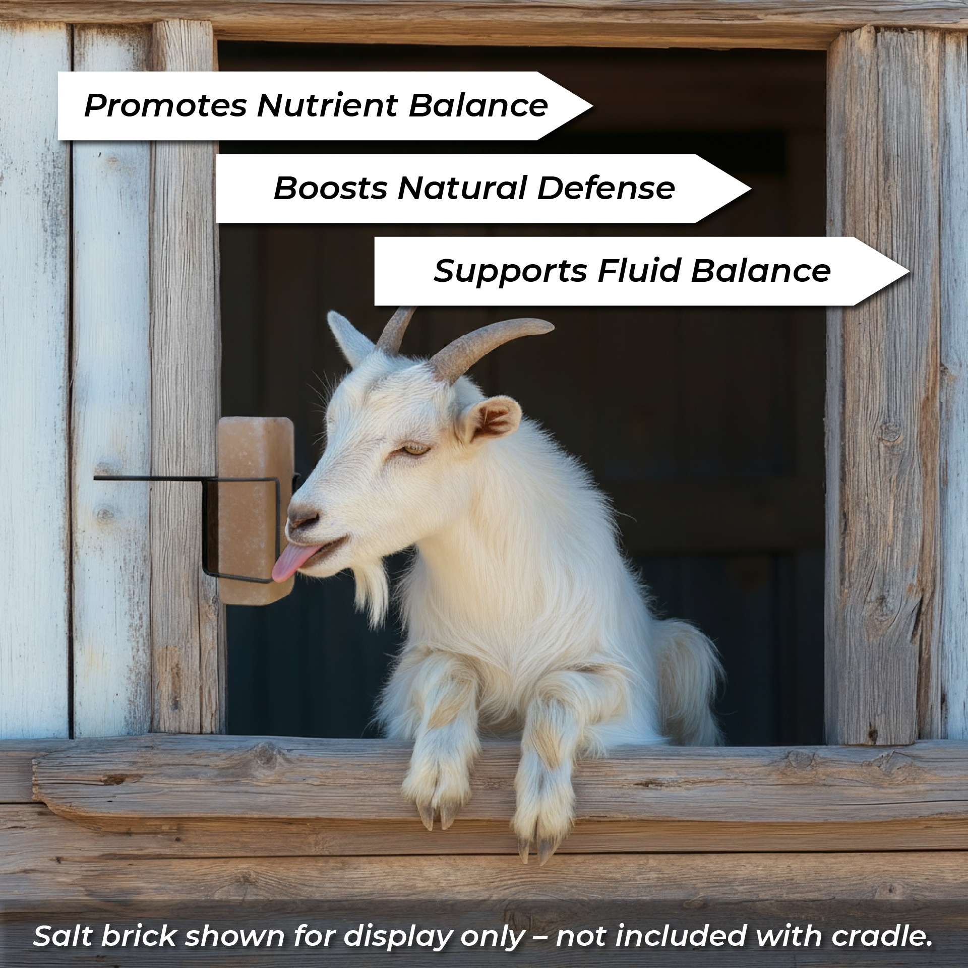 Pacific Pelican Himalayan Pink Salt Animal Lick Bricks for Livestock and Wildlife - 100% Pure & Natural Feed Salt - 84 Natural Minerals and Trace Elements (Pack of 4 Bricks) - Image 5