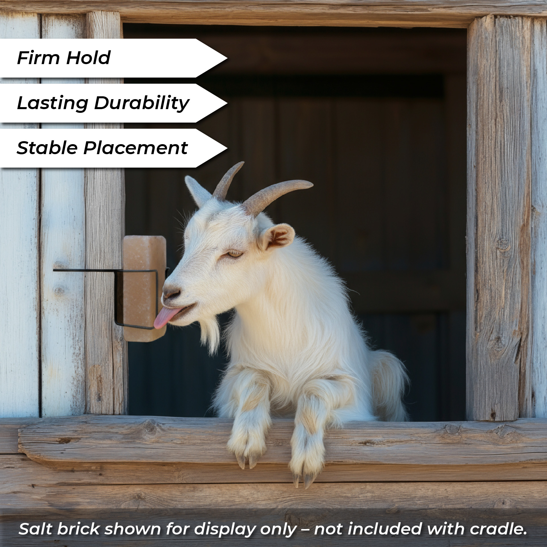 Pacific Pelican Himalayan Animal Lick Salt Brick Holder, for Deer, Horse and Livestock - Easy to Install – Ideal for Cattle, Horses, Goats, and Sheep - Image 5